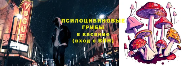 не бодяженный Горно-Алтайск